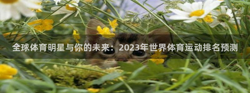 oety欧亿体育官网下载平台注册要钱吗安全吗：全球体