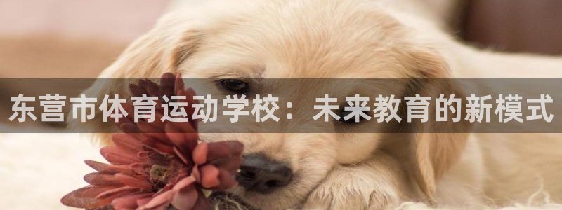 oety欧亿体育官网下载开户：东营市体育运动学校：未