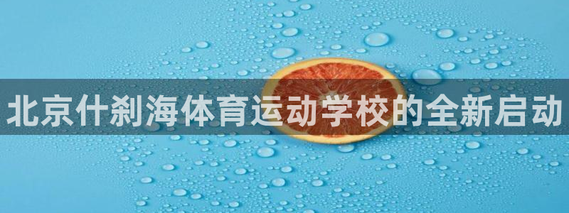 欧亿体育官方正版app集团logo：北京什刹海体育运