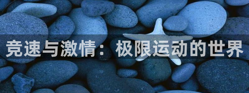 oety欧亿体育官网下载平台注册流程图：竞速与激情：