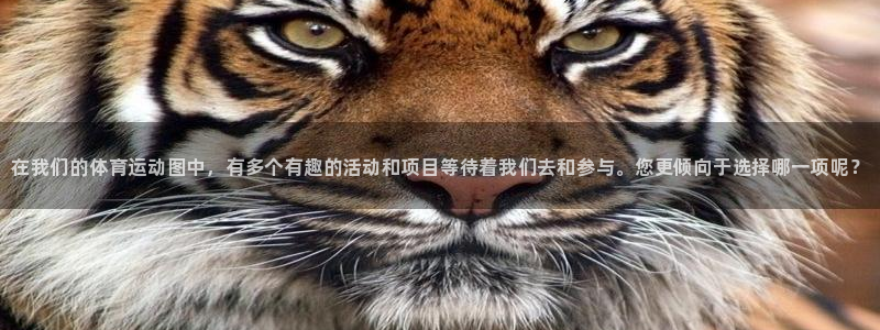 oety欧亿体育官网下载平台是正规平台吗：在我们的体