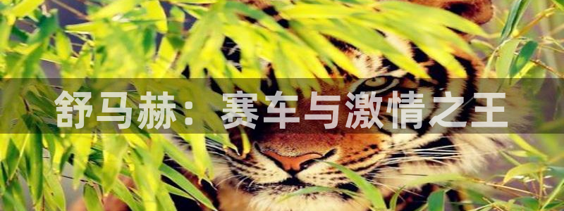 oety欧亿体育官网下载开户：舒马赫：赛车与激情之王