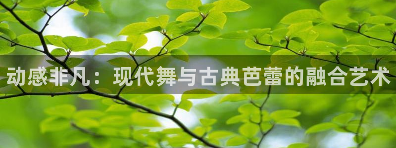 海南oety欧亿体育官网下载发展怎么样：动感非凡：现