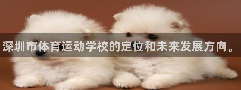 欧亿体育官方正版app集团官网网址：深圳市体育运动学