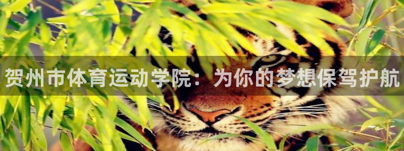 欧亿体育官方正版app娱乐首页网站大全：贺州市体育运动学院：