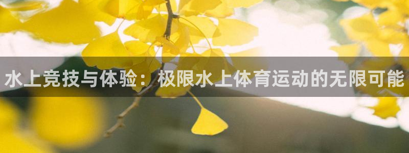 欧亿体育官方正版app集团E.ON：水上竞技与体验：极限水上