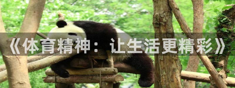 欧亿体育官方正版app集团官网网址：《体育精神：让生活更精彩