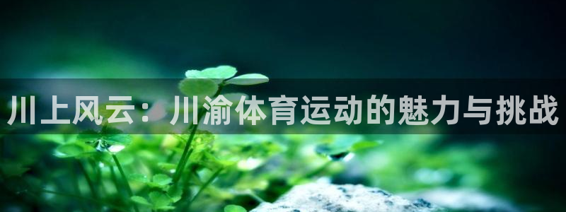 欧亿体育官方集团官网：川上风云：川渝体育运动的魅力与挑战