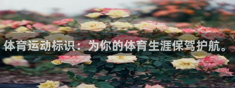 oety欧亿体育官网下载招商电话号码查询是多少：体育运动标识