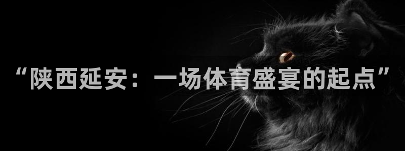 欧亿体育官方正版app官网：“陕西延安：一场体育盛宴的起点”