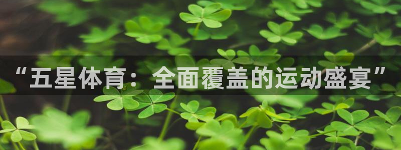 欧亿体育官方正版app五金厂：“五星体育：全面覆盖的运动盛宴