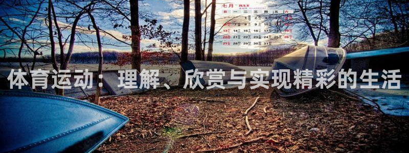 欧亿体育官方正版app新能源：体育运动：理解、欣赏与实现精彩