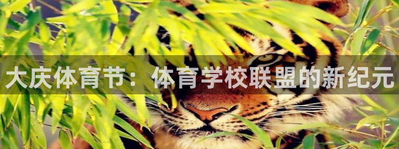 欧亿体育官方正版app集团官网首页网址：大庆体育节：