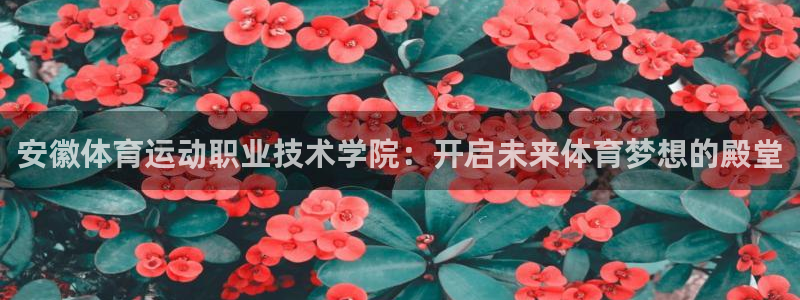 oety欧亿体育官网下载开户