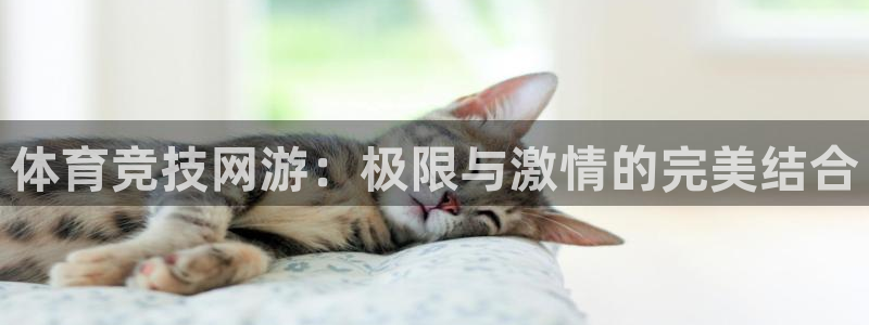 oety欧亿体育官网下载平台假的吗是真的吗：体育竞技