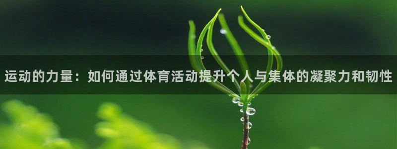 oety欧亿体育官网下载招商电话地址是多少：运动的力
