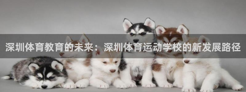 注册欧亿体育官方正版app：深圳体育教育的未来：深圳