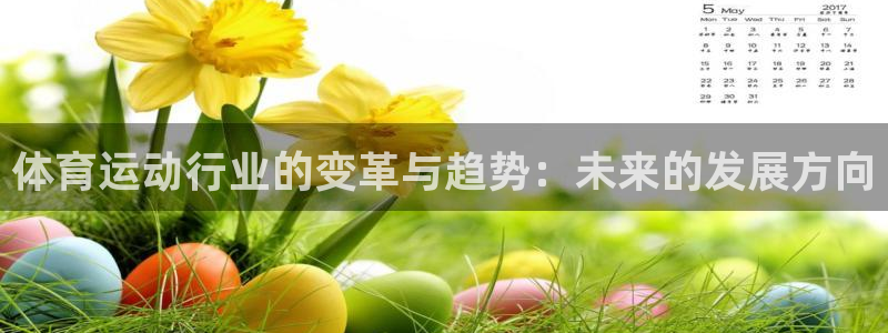 oety欧亿体育官网下载平台注册流程图：体育运动行业