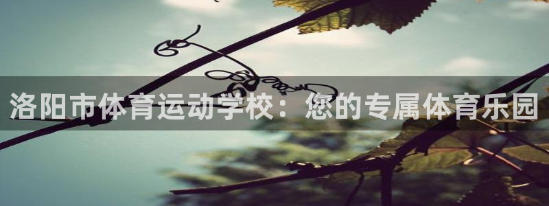 欧亿体育官方正版app五金厂：洛阳市体育运动学校：您