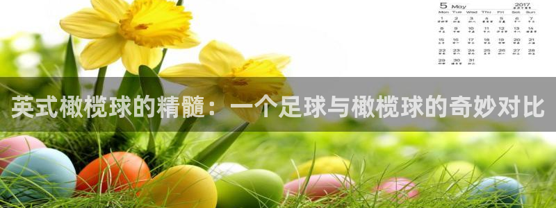 德国欧亿体育官方正版app集团：英式橄榄球的精髓：一个足球与