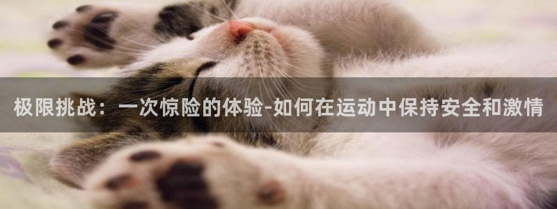 欧亿体育官方正版app集团官网首页：极限挑战：一次惊险的体验