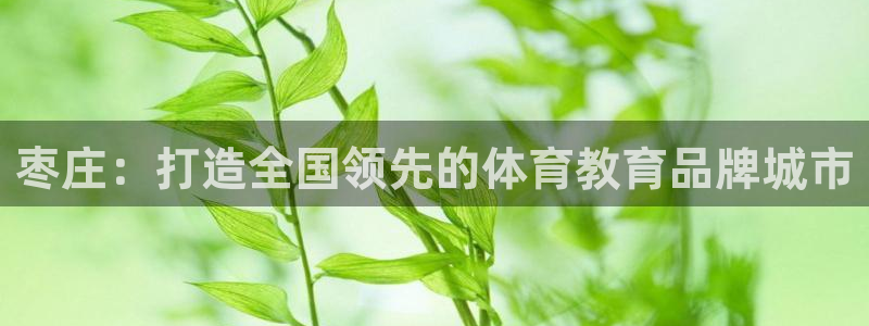 欧亿体育官方正版app集团官网首页：枣庄：打造全国领先的体育
