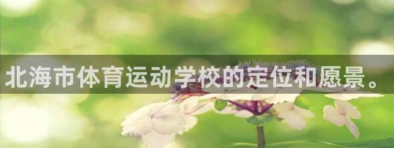 欧亿体育官方平台体育：北海市体育运动学校的定位和愿景。