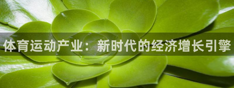 欧亿体育官方正版app娱乐:体育运动产业:新时代的经济增长引