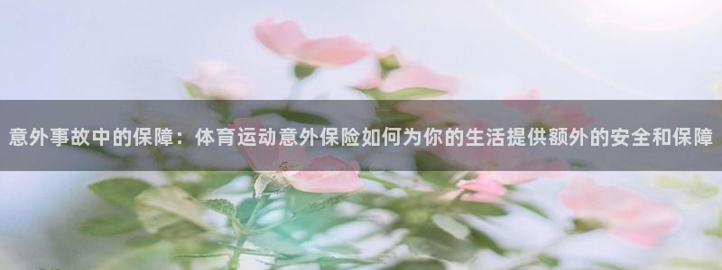 OE欧亿APP下载：意外事故中的保障