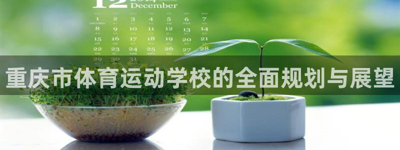 欧亿星灰泥一平方多少钱：重庆市体育运