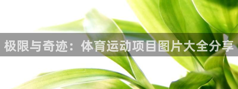 欧亿体育官方正版app集团E.ON:极限与奇迹:体育运动项目