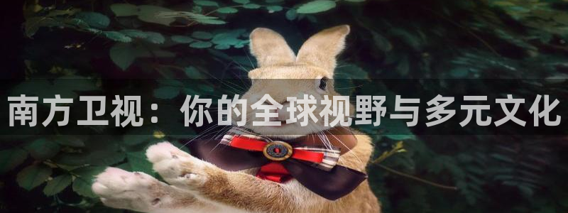 nba直播_足球直播_免费在线直播_88看球官网