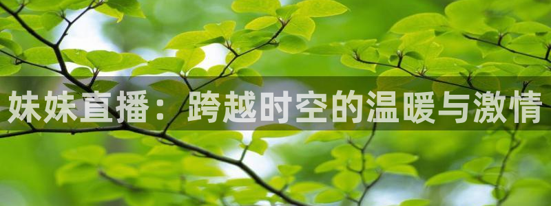 88看球nba免费直播官网