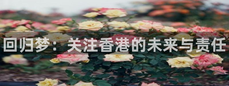 88看球免费直播高清观看：回归梦：关注香港的未来与责任