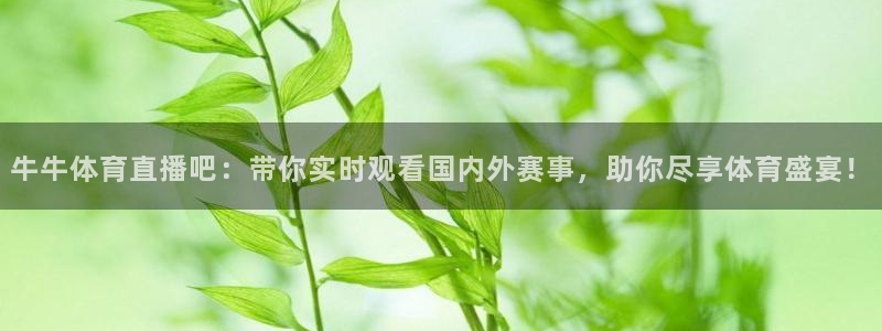 88看球nba免费直播官网：牛牛体育直播吧：带你实时观看国内外赛事，助你尽享体育盛宴！
