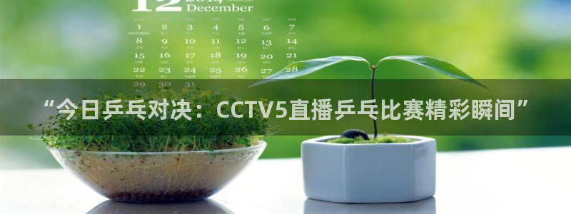 88看球nba直播在线观看：“今日乒乓对决：CCTV5直播乒乓比赛精彩瞬间”